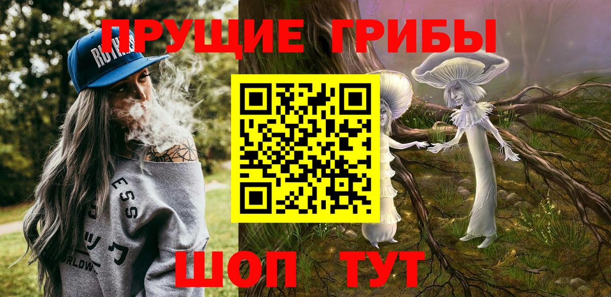 Пугачёв  наркотики  Вход с VPN  Галлюциногенные грибы GOLDEN TEACHER 