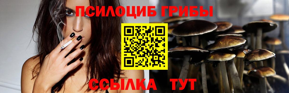 Галлюциногенные грибы ЛСД Пугачёв